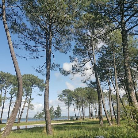 Appartements Au Coeur Du Golf, Proche Du Lac Et Velodyssee Biscarrosse Eksteriør billede