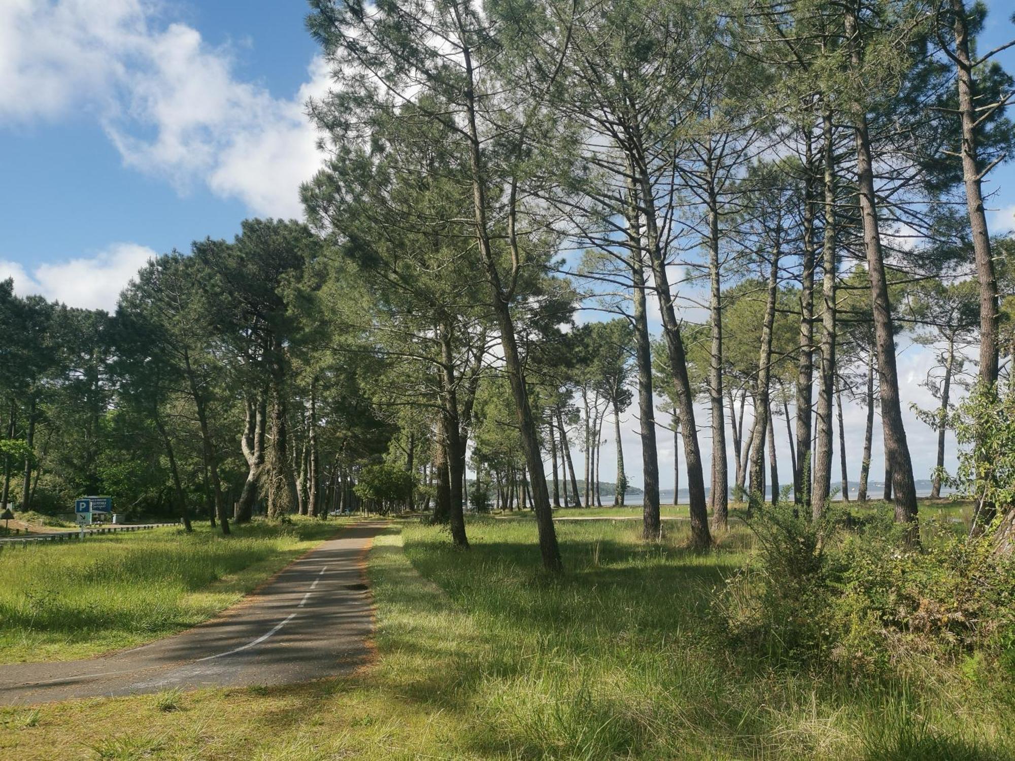 Appartements Au Coeur Du Golf, Proche Du Lac Et Velodyssee Biscarrosse Eksteriør billede